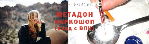 ГАЛЛЮЦИНОГЕННЫЕ ГРИБЫ Аркадак