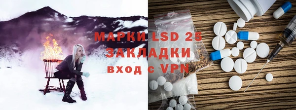 ГАЛЛЮЦИНОГЕННЫЕ ГРИБЫ Аркадак