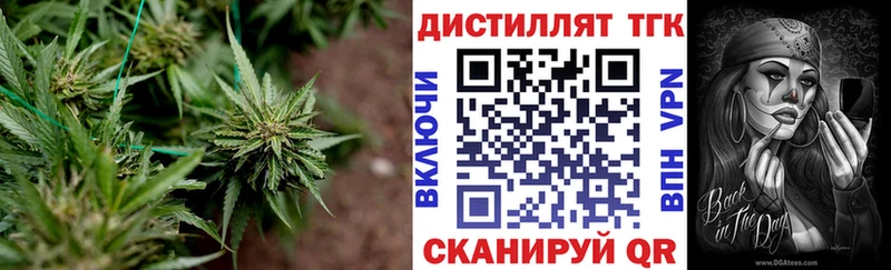 купить наркотик  Сольвычегодск  Дистиллят ТГК Wax 