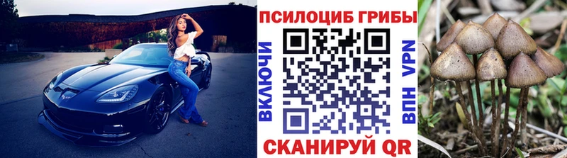 продажа наркотиков  Сольвычегодск  Псилоцибиновые грибы Psilocybine cubensis 